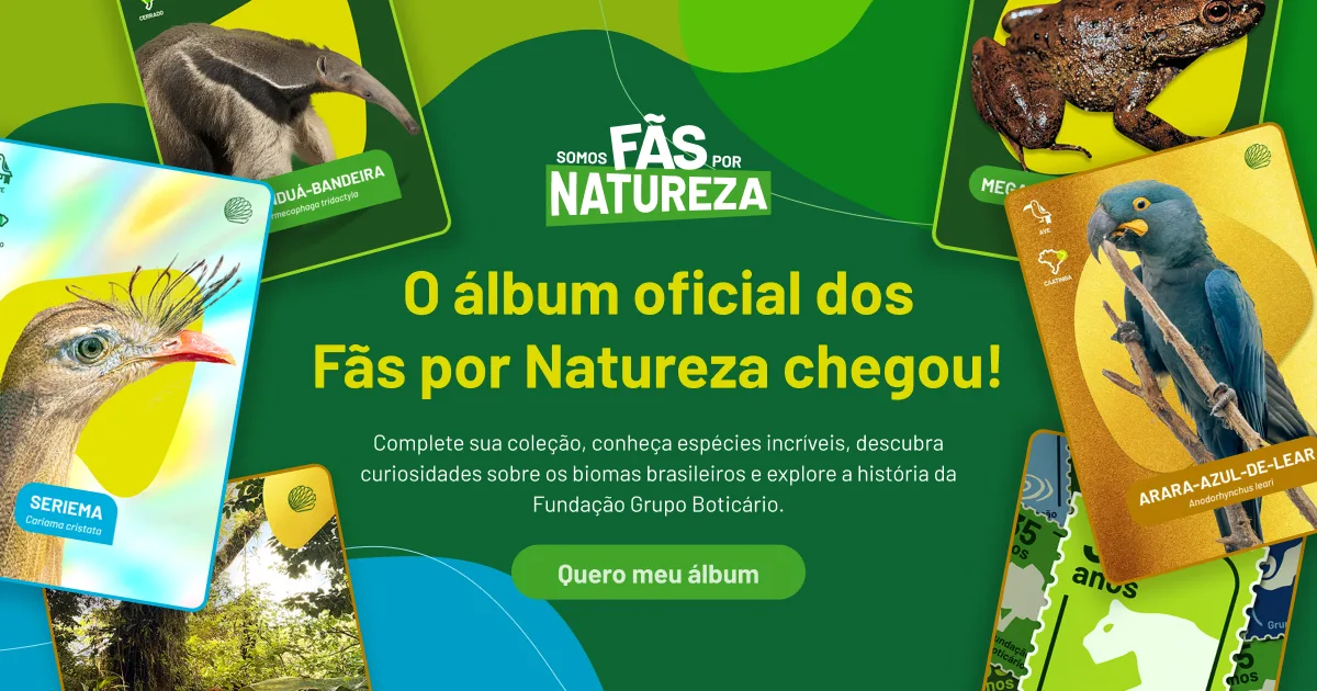 Prévia do site Fundação Grupo Boticário