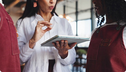 Curadoria e Estruturação