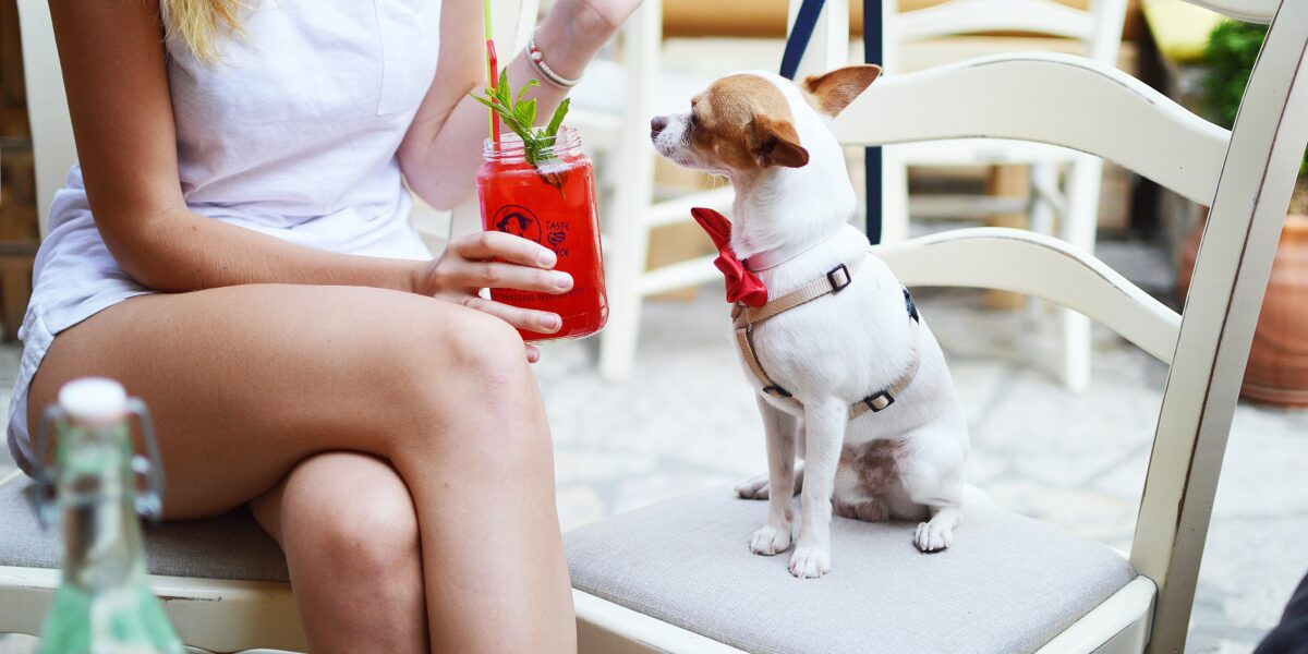 Mulher sentada com drink na mão e cachorro pequeno sentado ao lado.