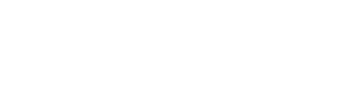 Politi Academy