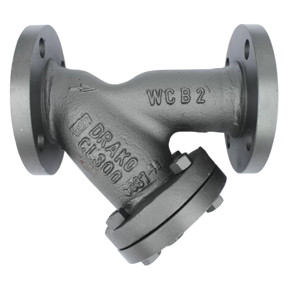 Filtro Y - flange 2