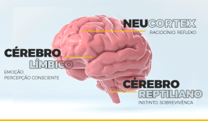 O Neurosales é a junção da neurociência às vendas. Entenda como ele explica comportamentos e pode auxiliar sua equipe a vender cada vez mais.