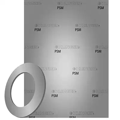 psm capa.png
