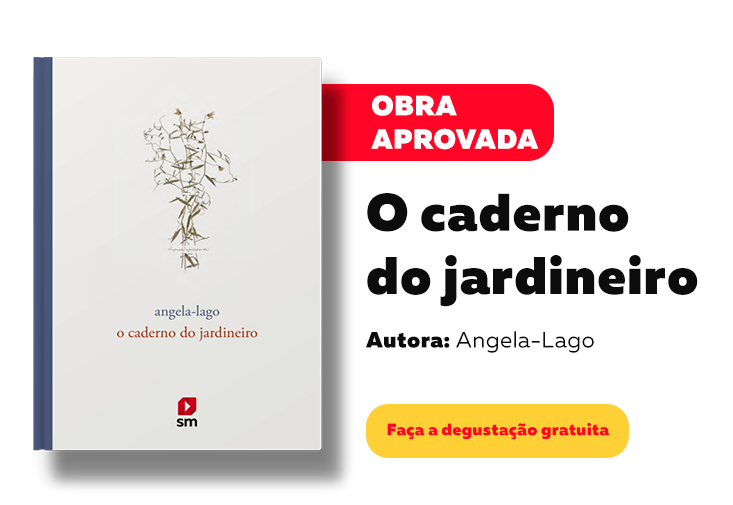 PNLD 2021 obra aprovada