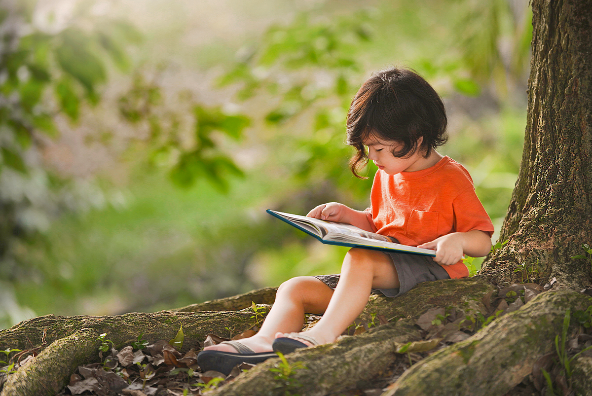“A Casa Comum: do umbigo ao coração”: nova obra literária para a educação ecológica