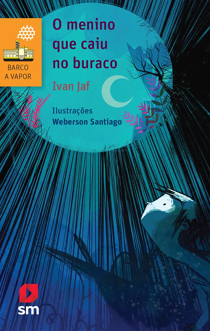 O menino que caiu no buraco