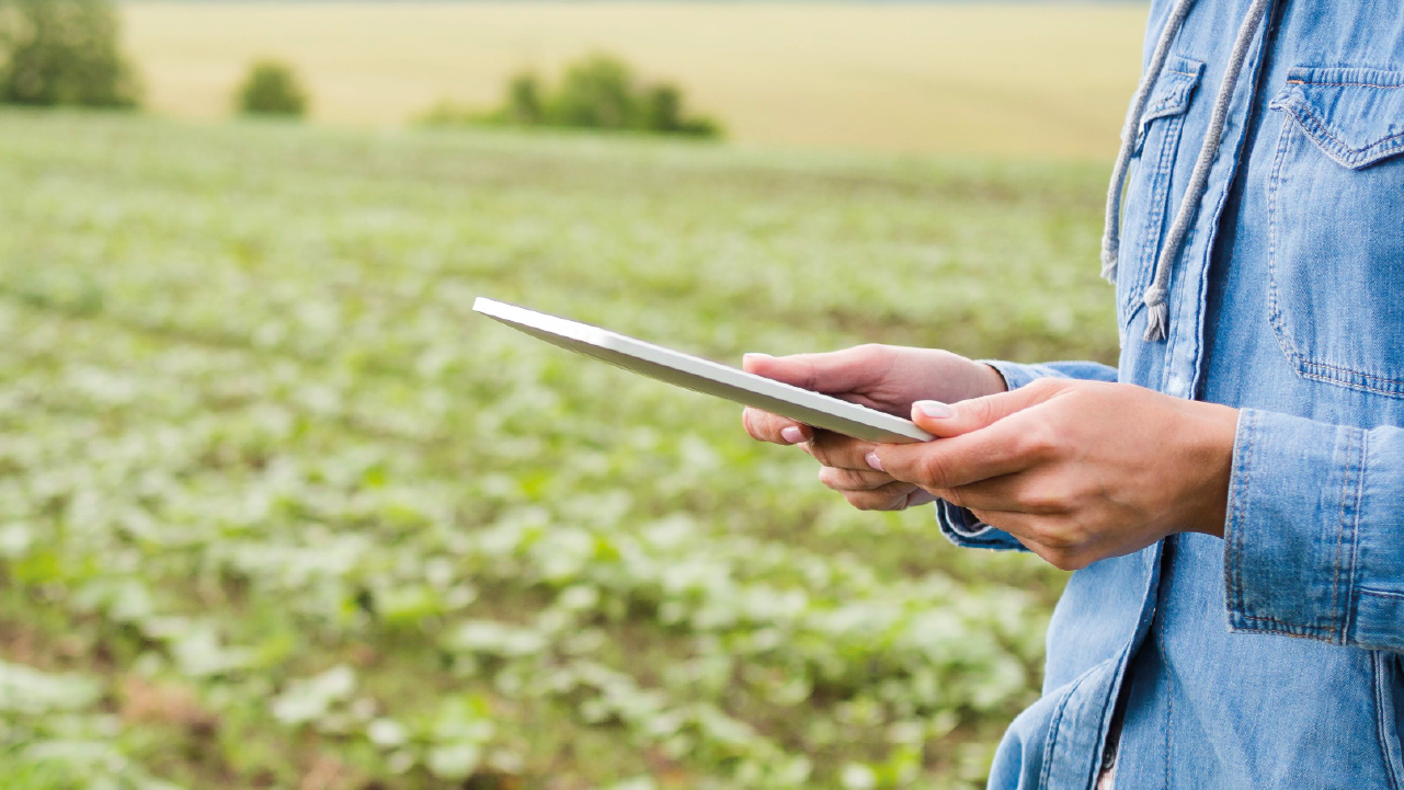 Agronegócio: 5 motivos para usar o BI em sua gestão estratégica