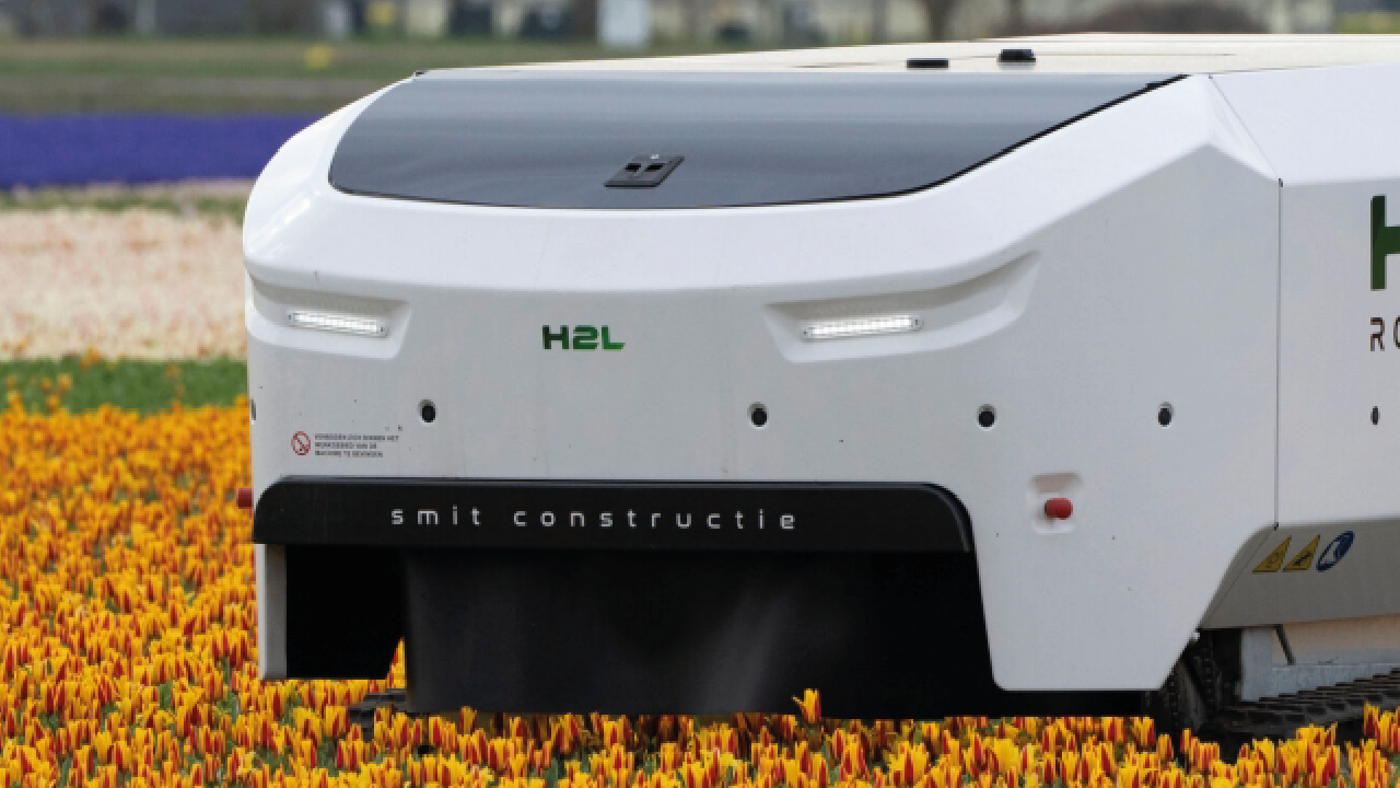 Novos robôs de IA trabalham na detecção de doenças do campo